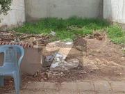 Plot For Sale Urgent 100 Yard Plot For Sale Urgent 100 Yard