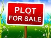 Plot for sale urgent Gujranwala ID 30952