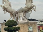 Plot In B 17 E Block 30x60 60ft Road