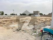 Plot Is Available For Sale