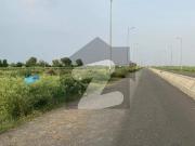 Plot No Near 1495 Carpeted Road Attractive Price