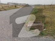 Plot Number in Series 642 SUN FACE is available for Sale