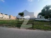 Plot # y 3660 residential plot located in the best block...