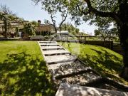 Podere di 800 mq in vendita Terranuova Bracciolini, Toscana