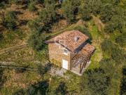 Podere in vendita Via del Pino, snc, Massarosa, Lucca,...