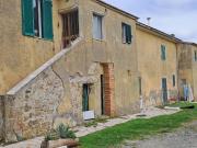 Podere Tenuta in affitto a Scansano