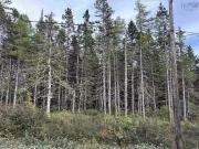 Point View Road, Louisdale, NS, B0E 1V0 vacant land for...