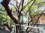 polanco platón / súper depa en venta