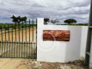 Pomar 15 ha romã e alfarroba NOVO PREÇO!