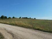 POMEZIA VIA MONACHELLE TERRENO UN ETTARO AGRICOLO