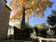 Pont Aven 29930 Achat / Vente maison 10 pièces t10