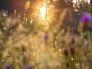 Pont de Ruan 37260 Programme neuf terrain neuf à vendre