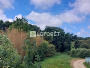 PONT L ABBE, commerces à pied