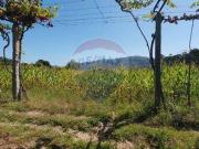 Ponte Da Barca Viana Do Castelo 94608610