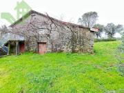 Ponte de Lima Ponte de Lima 84597671