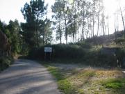 Ponte de Lima Ponte de Lima 93301074