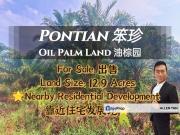 Oil Palm Land Nearby Pontian Perdana For