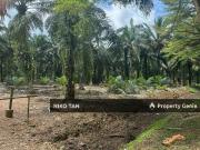 Pontian Land Beside Main Road Skudai Pontian Highway