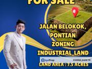 Pontian, Zoning Industrial Land For