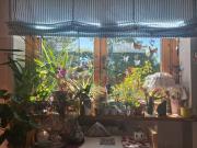 Porano Vendesi appartamento con terrazza e ampio garage