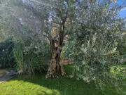 Porec Umgebung Steinhaus mit Pool