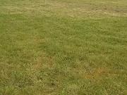 Pornic 44210 Programme neuf terrain neuf à vendre