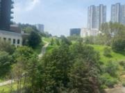 POR ESTRENAR BLUE by BOSQUE REAL