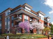 Port Coquitlam New Penthouse Condo 3 Bed 2 Bath For Rent...