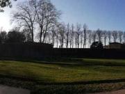 porta dei borghi bilocale 85mq porta dei borghi bilocale 85mq