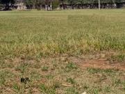 Portal Japy Golf Club OPORTUNIDADE