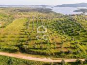 Portel Évora 73076579