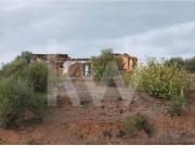 Portimão Algarve 79782481