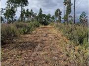 Portimão Portimão 93885953