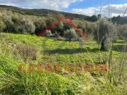 Porto de Mós Porto de Mós LS92928999