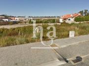 Porto Maia 4475 100046709