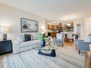 Portofino Suites 2 Bedroom Apartment for Rent at 11440...