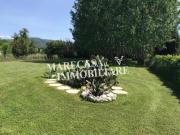 Porzione di Casa in affitto a Camaiore, arredato,...