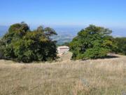 Porzione di casa in vendita a Massa Martana