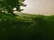 Porzione di casa in vendita a Premariacco