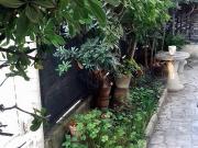 Porzione di casa in vendita a Senigallia, Centro