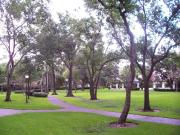 Post Oak Park 1 Bedroom Apartment for Rent at 1919 Post...