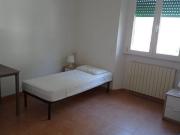 Posto in stanza doppia Via Piave Pisa