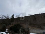 POTENTIEL AU CUR DE SONVILIER