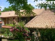 Potentiel commercial énorme 3 maisons en 1 avec grand...