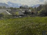 Poueyferré Vente Terrain 65