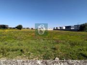 Póvoa de Varzim Póvoa de Varzim 90645993