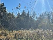 Power Of Sale Land 3hrs From Toronto 40 Ryan Street,killaloe