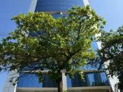 PrÃdio corporativo para locaÃ§Ã£o, Brooklin Paulista,...