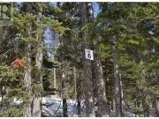Pr. St Lt 6 Alpine Way, Smithers, BC, V0J 2N0 vacant...