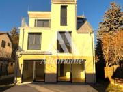 Prachtexemplar an der unteren alten Donau !